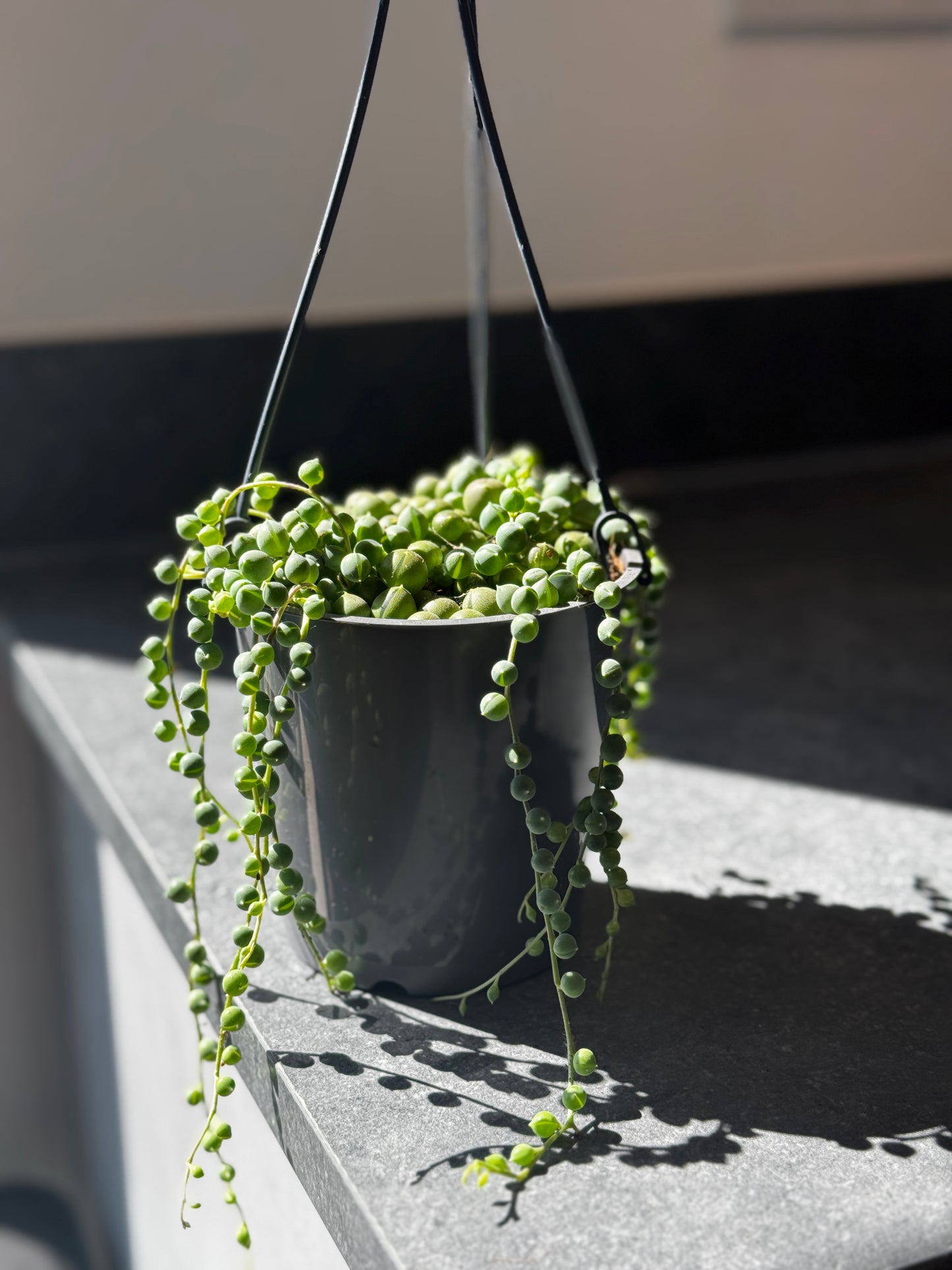 String of Pearls